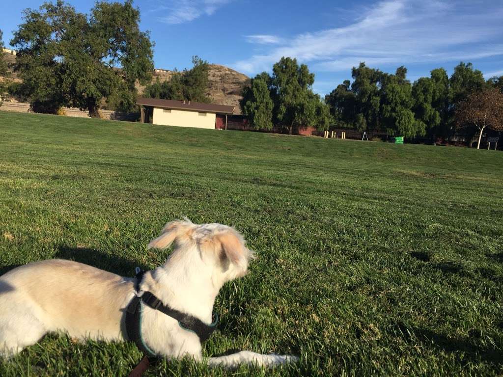Dog Park at Hellyer County Park | San Jose, CA 95111, USA