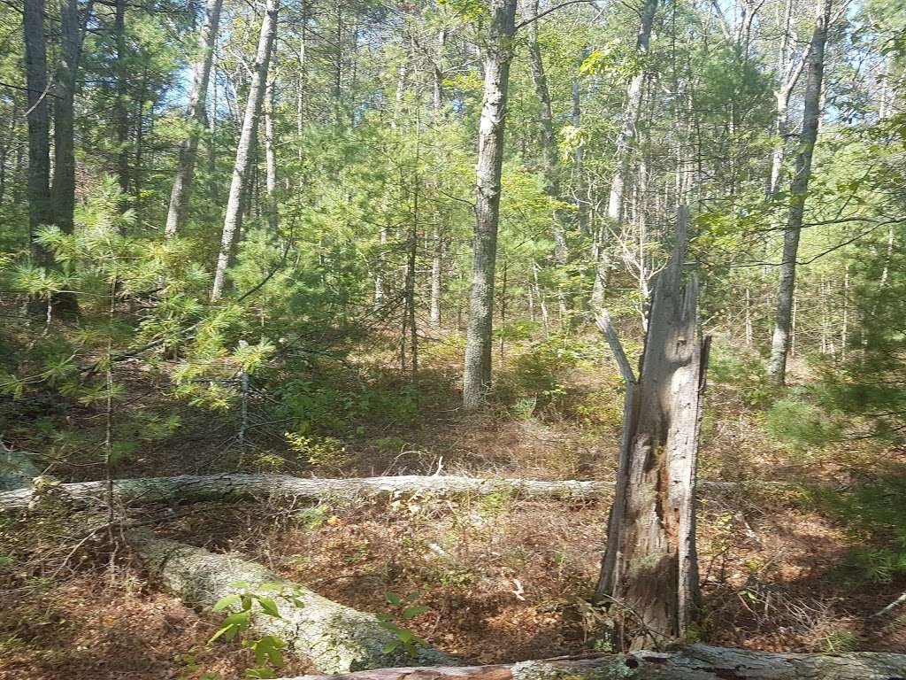 F Gilbert Hills State Forest 45 Mill St Foxborough Ma 02035 Usa