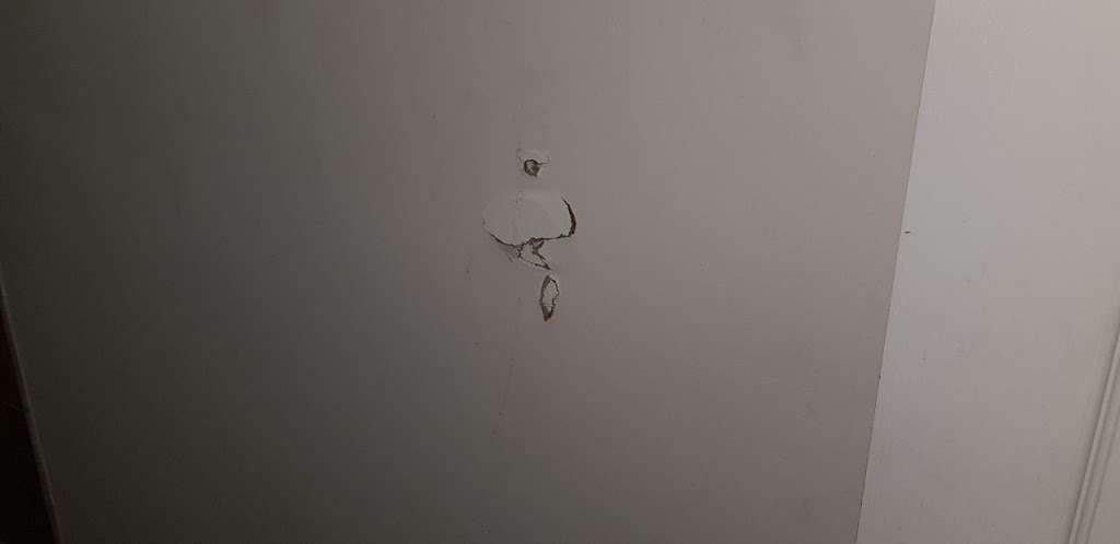 Aventura Home by Flatsaway | 20801 NE 8th Path, Miami, FL 33179, USA