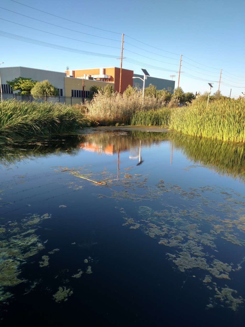 South Los Angeles Wetlands Park | 5413 S Avalon Blvd, Los Angeles, CA 90011, USA | Phone: (800) 974-9794