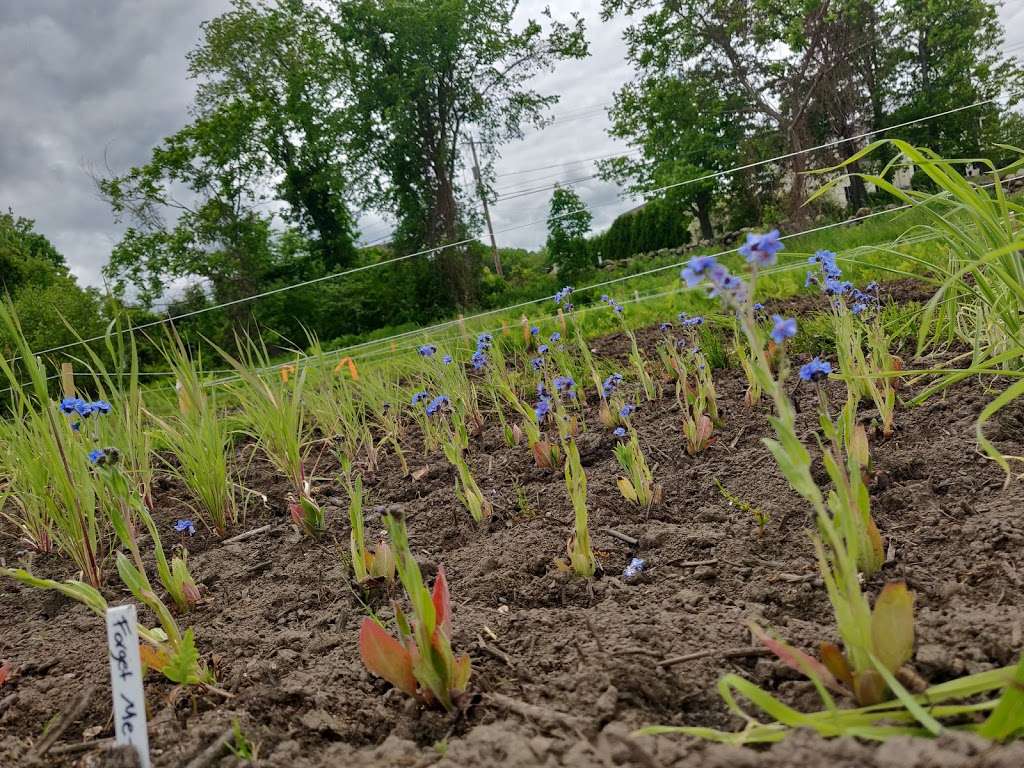 Mendon Community Garden | 125 North Ave, Mendon, MA 01756