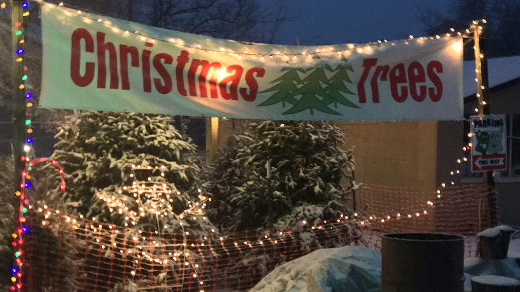 Mrs Ruths Christmas Trees | 2206 Charlotte Hwy, Mooresville, NC 28115, USA | Phone: (980) 348-2098