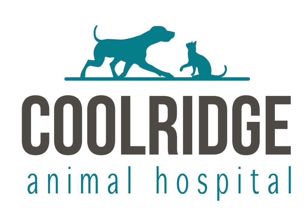 Coolridge Animal Hospital | 6801 Old Branch Ave, Temple Hills, MD 20748, USA | Phone: (301) 449-1610