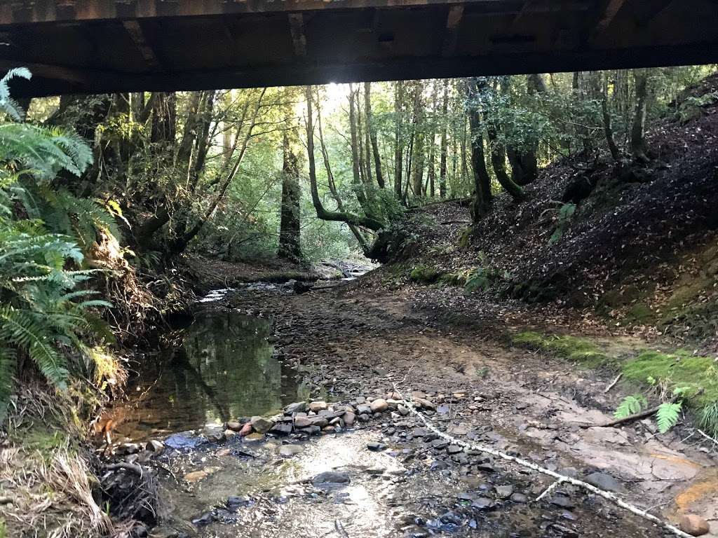 Soquel Demonstration Trail Head | Creek,, Los Gatos, CA 95033, USA