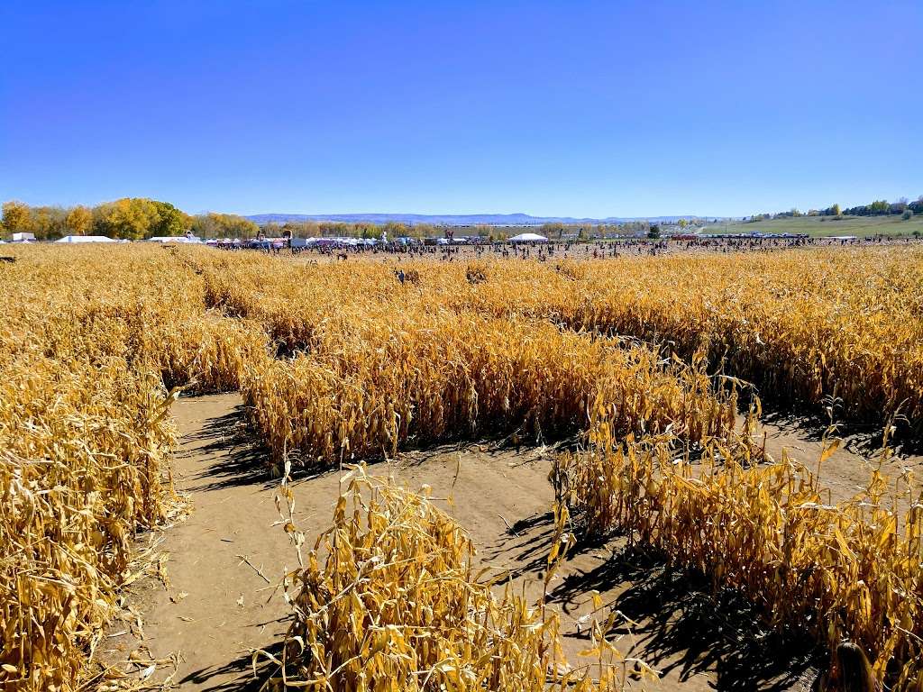 Denver Botanic Gardens Chatfield Farms | 8500 W Deer Creek Canyon Rd, Littleton, CO 80128, USA | Phone: (720) 865-3500