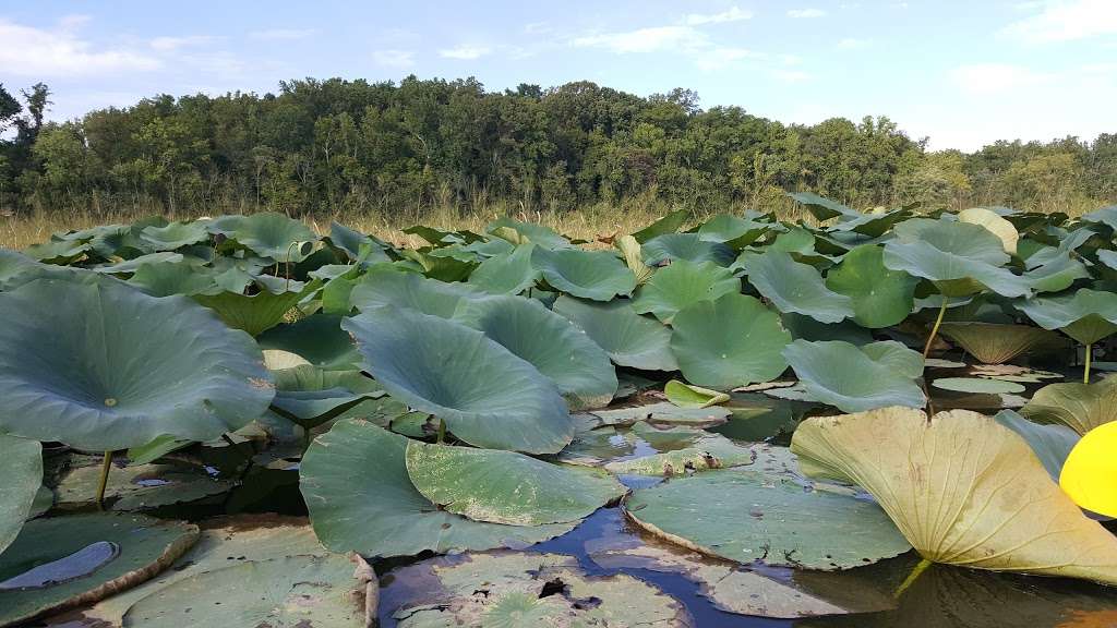 Crows Nest Natural Area Preserve | 81, Raven Rd, Stafford, VA 22554, USA | Phone: (804) 786-7951