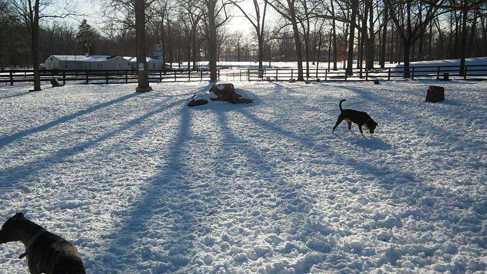 Vint Hill Dog Park | 4263 Aiken Dr, Warrenton, VA 20187, USA