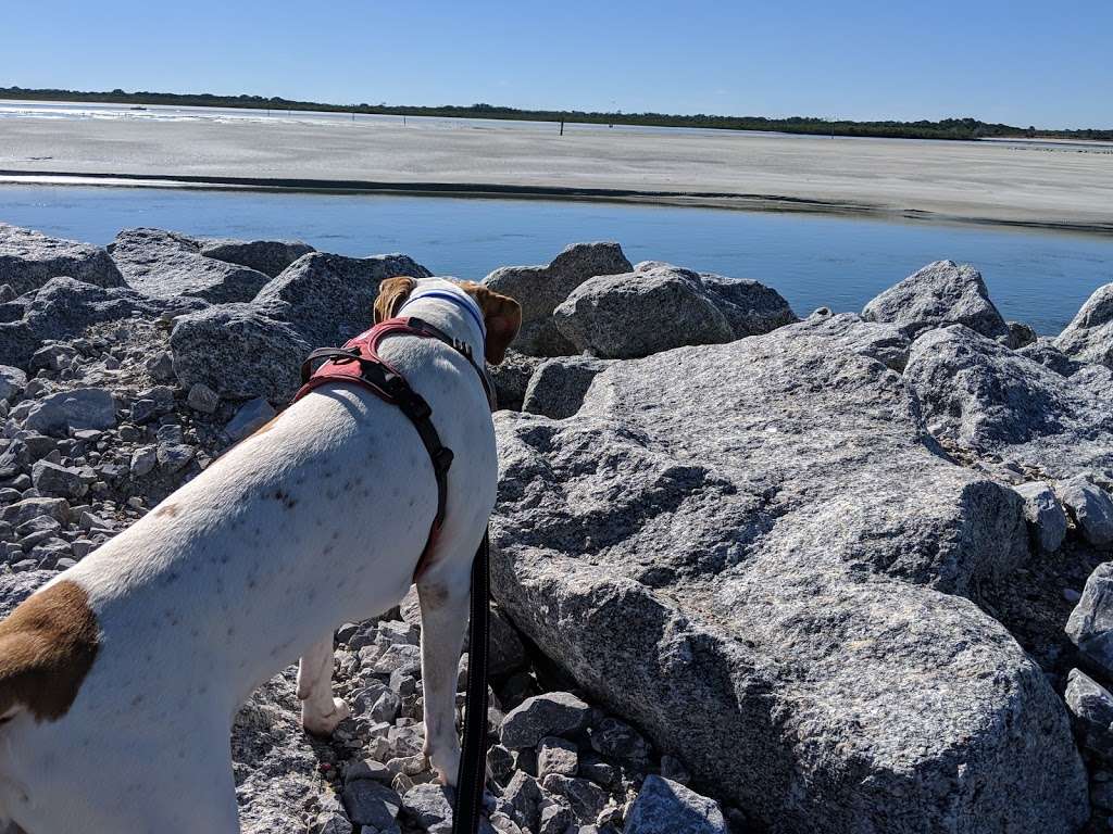 Ponce Inlet Dog Beach | 5000 S Atlantic Ave, Ponce Inlet, FL 32127, USA