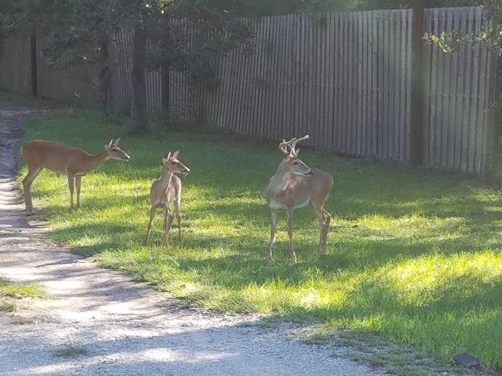 Precision Printed Circuits | 40403 Cimarron Way, Magnolia, TX 77354, USA | Phone: (281) 252-6485