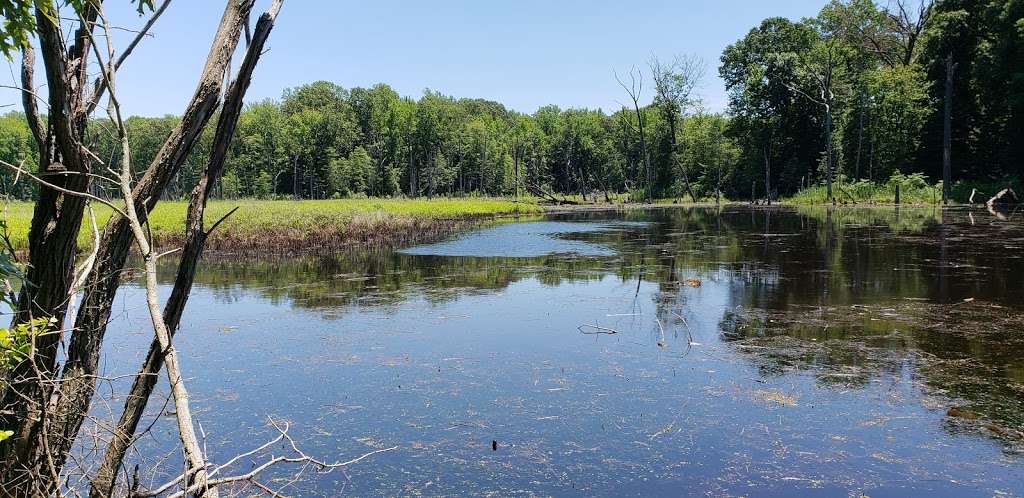 Black Marsh Natural Area | Millers Island Blvd, Edgemere, MD 21219, USA