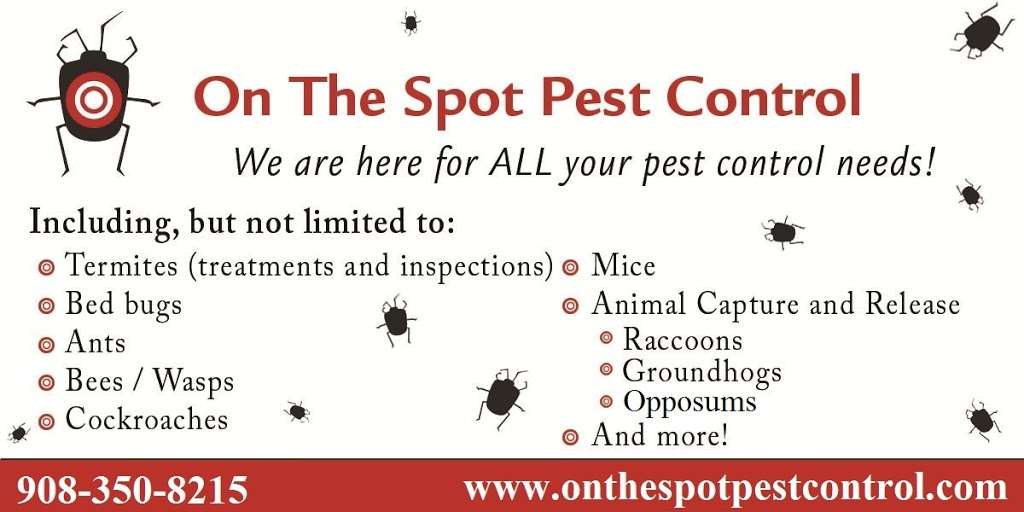 On The Spot Pest Control | 20 Torbert Rd, Gillette, NJ 07933, USA | Phone: (908) 350-8215