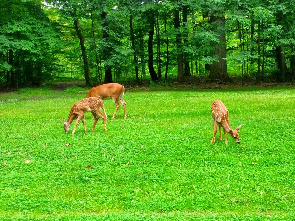 Garfield Park Reservation | 11350 Broadway Ave, Garfield Heights, OH 44125, USA | Phone: (216) 206-1000