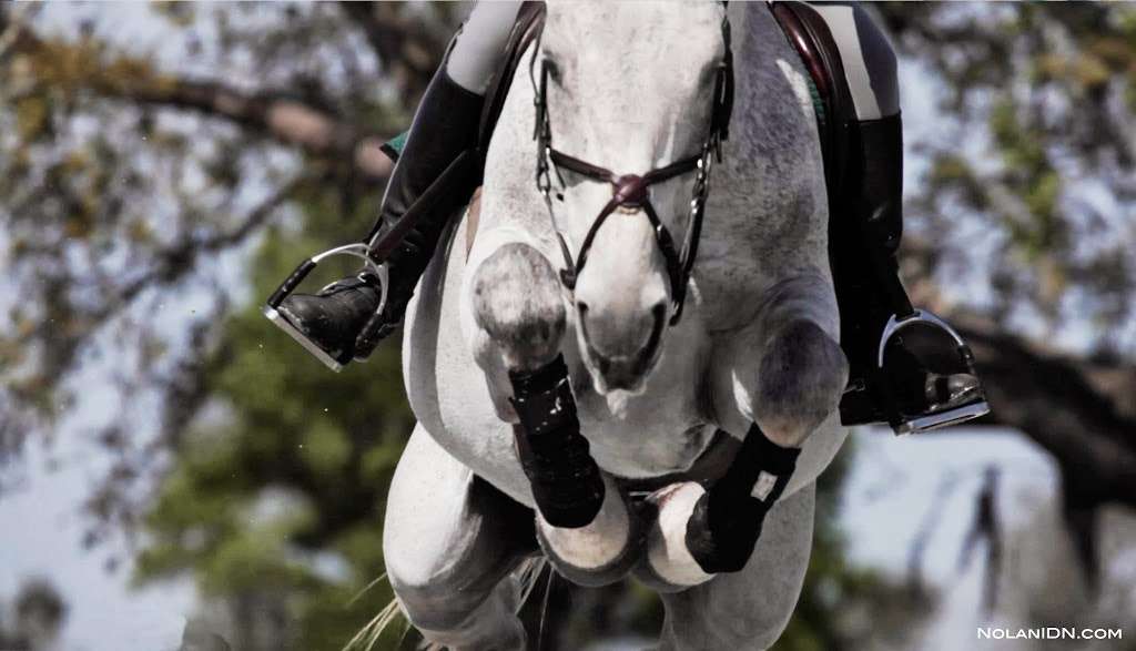 SeaCrest Equestrian Center | 4316 Avalon Rd, Winter Garden, FL 34787, USA | Phone: (352) 283-1025