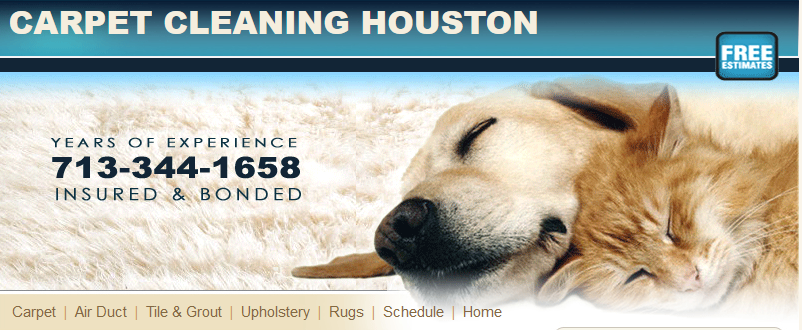 Cleaning Carpet Houston | 10425 Veterans Memorial Dr, Houston, TX 77038 | Phone: (713) 344-1658