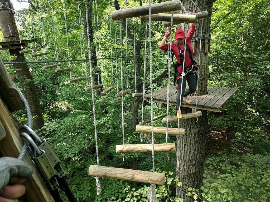 The Adventure Park at the Discovery Museum | 4450 Park Ave, Bridgeport, CT 06604, USA | Phone: (203) 690-1717