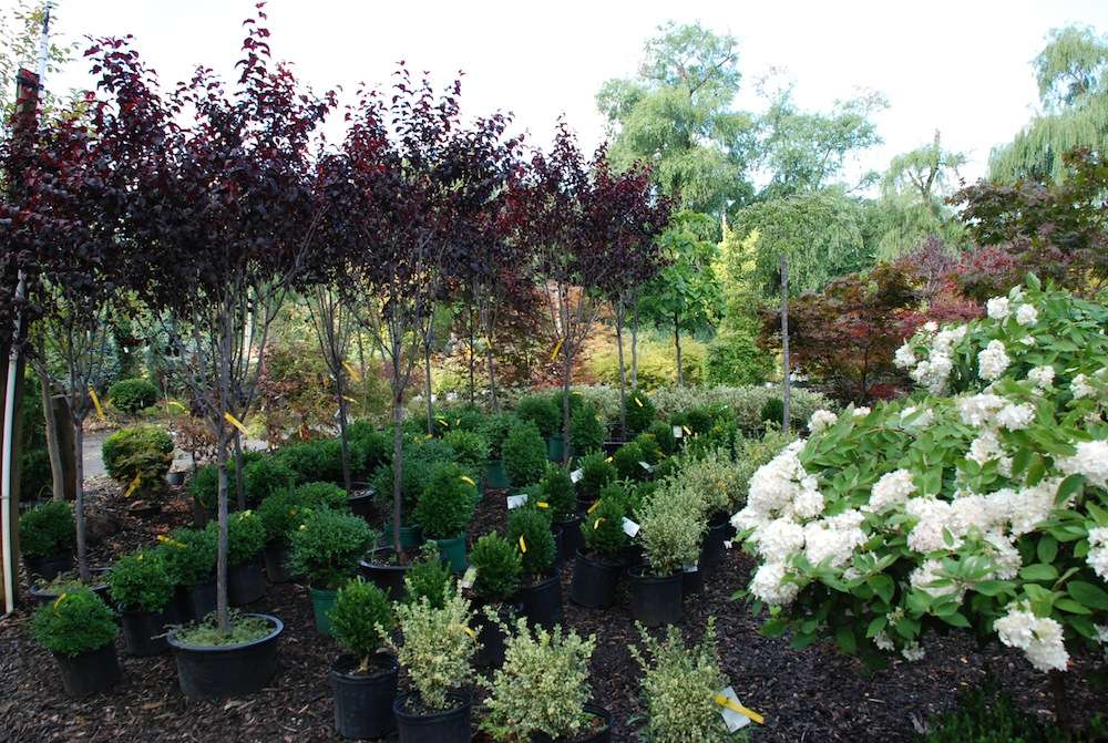 Suburban Garden Center Inc. | 15 Horseshoe Dr, New City, NY 10956, USA | Phone: (845) 638-0208