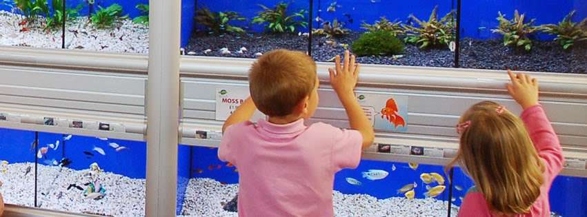 Weald Aquatics | Main Rd, Knockholt, Sevenoaks TN14 7LJ, UK | Phone: 01959 532963