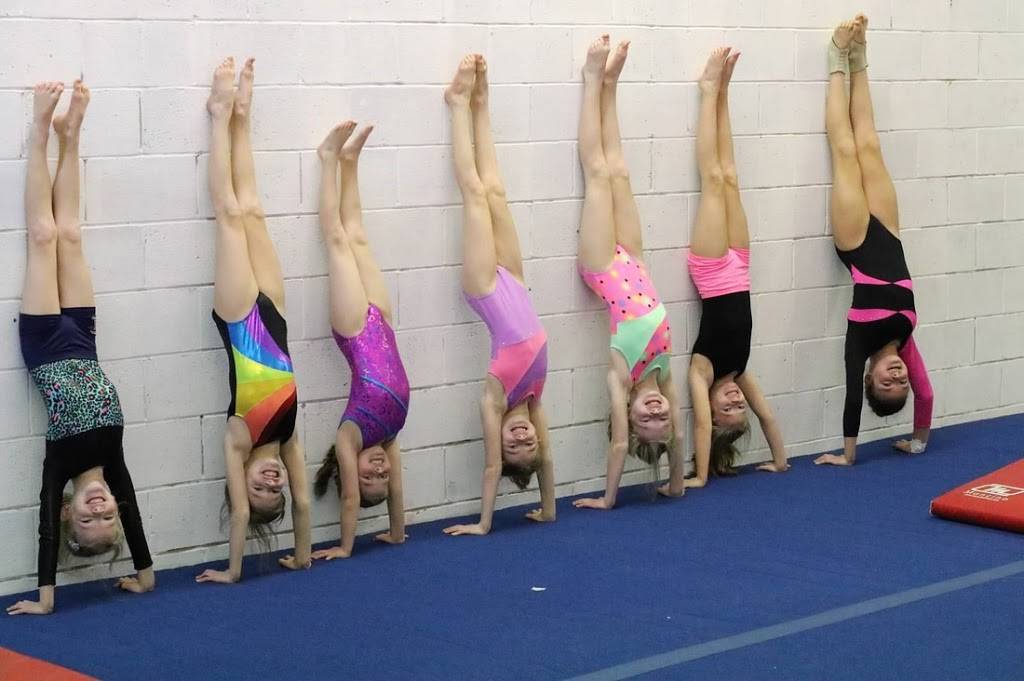 Metrolina Gymnastics | 1038 Culp Rd #200, Pineville, NC 28134, USA | Phone: (980) 613-1790