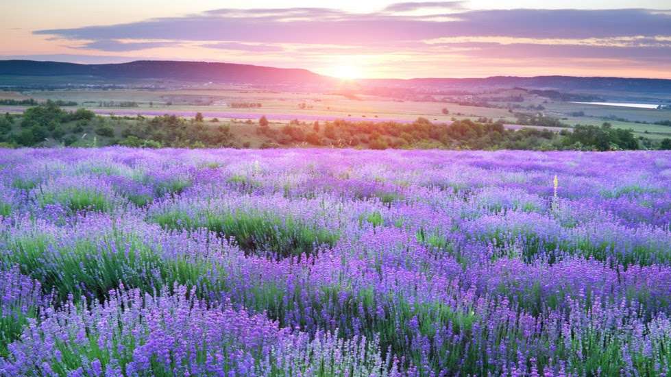 Park Lawn Funeral Home | 8251 Hillcrest Rd, Kansas City, MO 64138, USA | Phone: (816) 523-1234