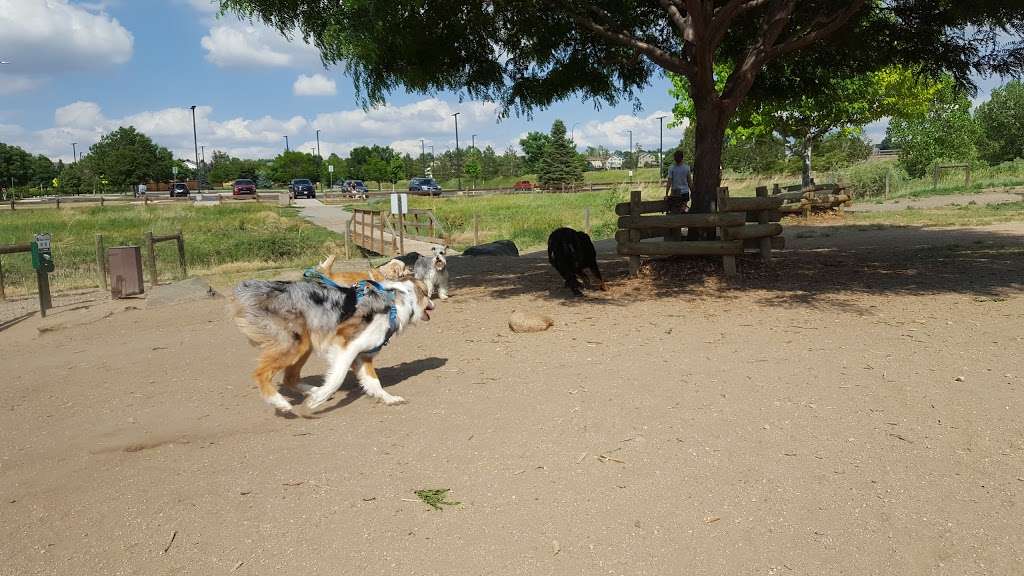 Hound Hill Dog Park | 9651 S Quebec St, Highlands Ranch, CO 80130, USA | Phone: (303) 791-2710