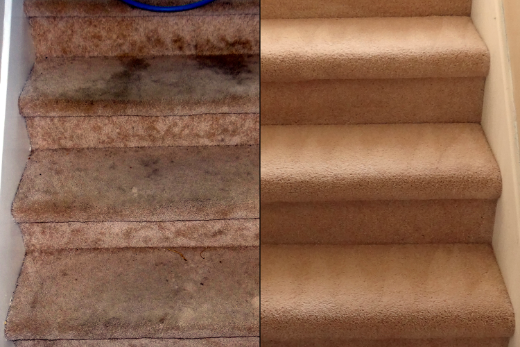 Bliss Carpet Cleaning | Fairfield Country Shops A, 15201 Mason Rd #1000, Cypress, TX 77433, USA | Phone: (281) 709-7708