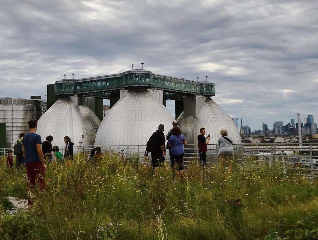 Kingsland Wildflowers Green Roof & Community Engagement Center | 520 Kingsland Ave, Brooklyn, NY 11222, USA