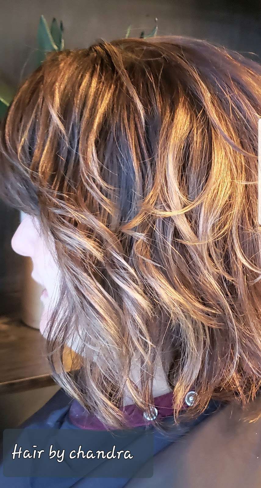 HAIR By CHANDRA at Blue Lion Salon Studios | 4057 Riley Fuzzel Rd #700, Spring, TX 77386 | Phone: (832) 347-4855