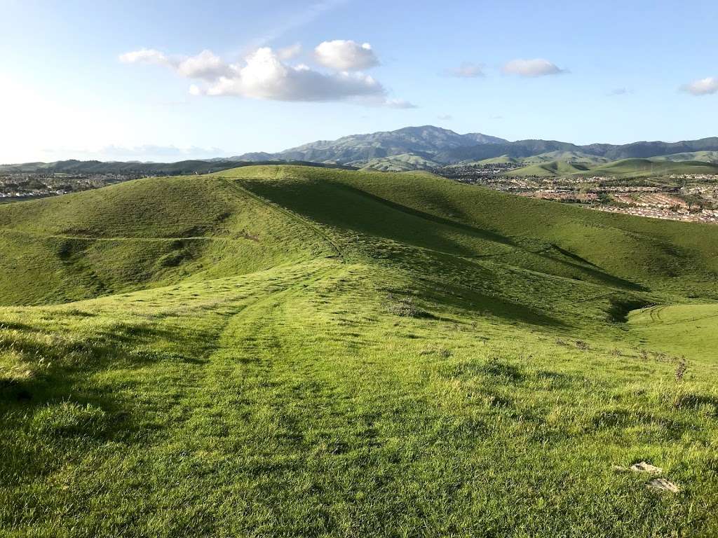 Dougherty Valley Ridge Trail | Dougherty Hills Trail, San Ramon, CA 94582, USA