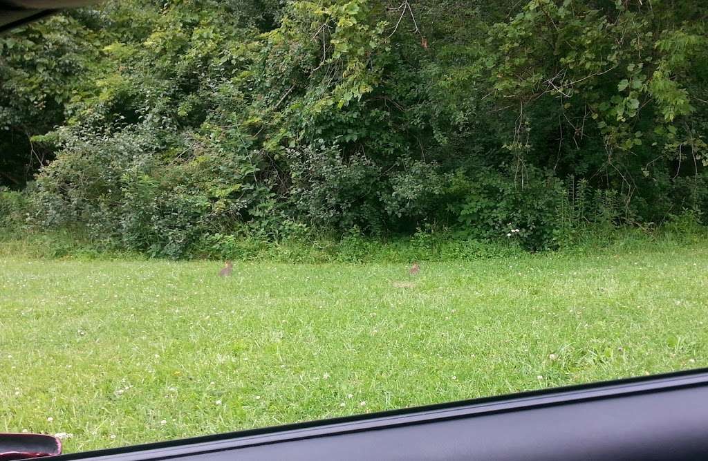 Camp Alphonse | 1393 W Dundee Rd, Palatine, IL 60067, USA | Phone: (800) 870-3666