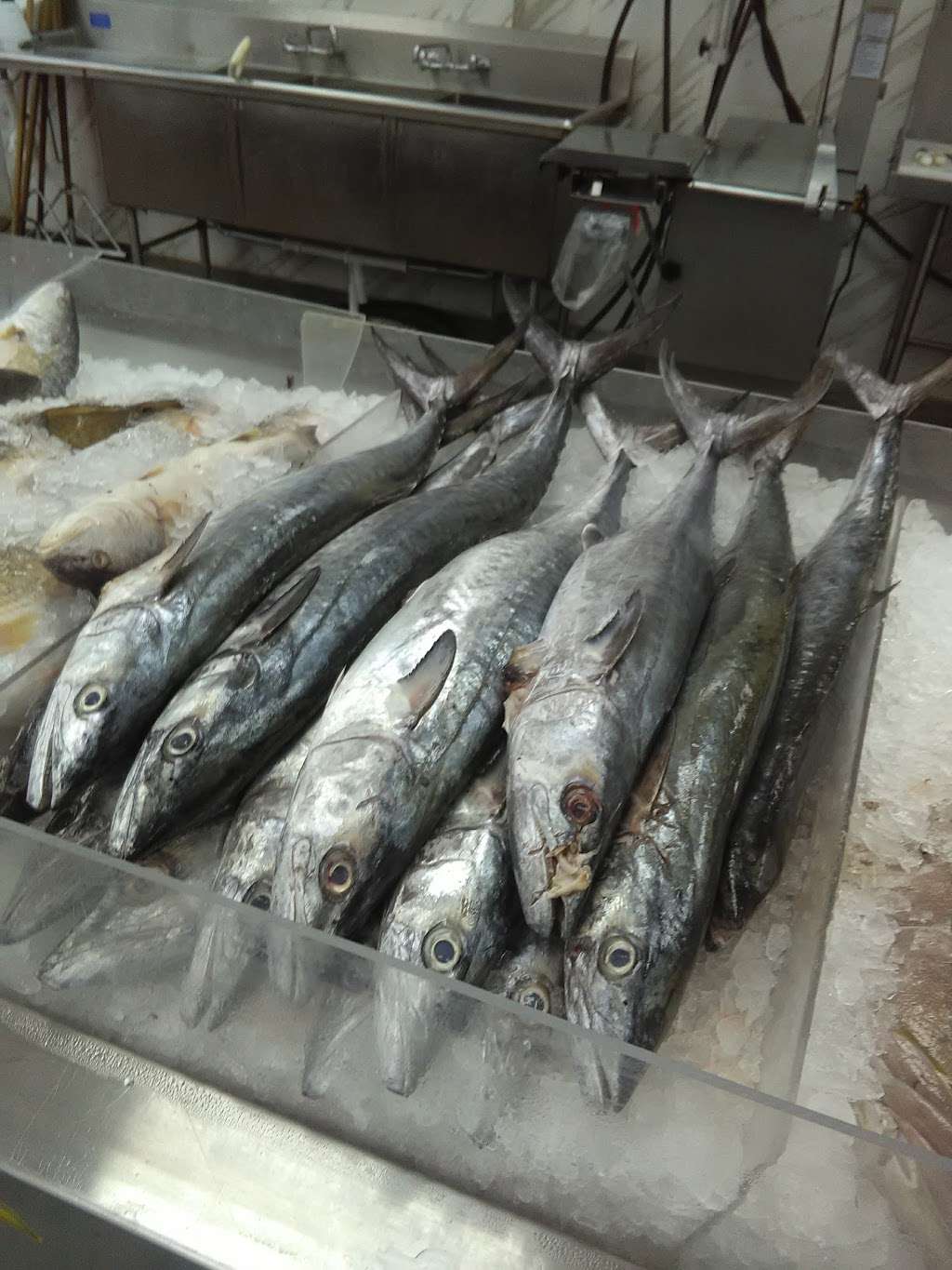 T H Seafood Inc | 302 11th Ave, Seabrook, TX 77586, USA | Phone: (281) 291-0339