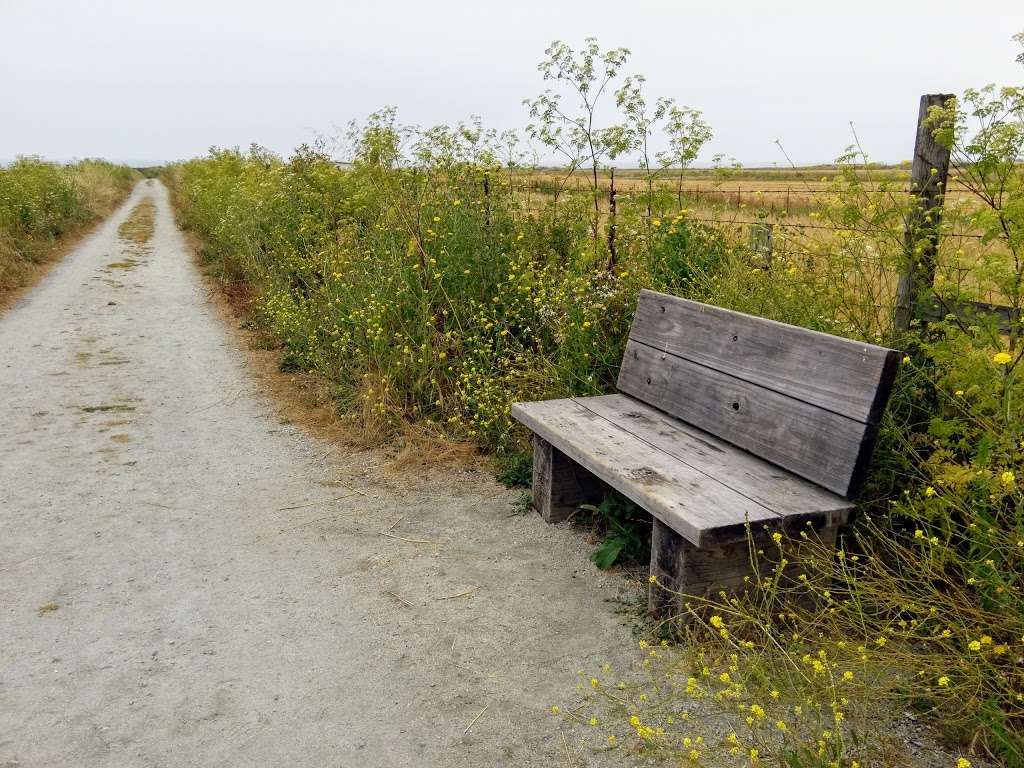 Cowell Ranch Beach Access | Half Moon Bay, CA 94019, USA | Phone: (650) 854-7696