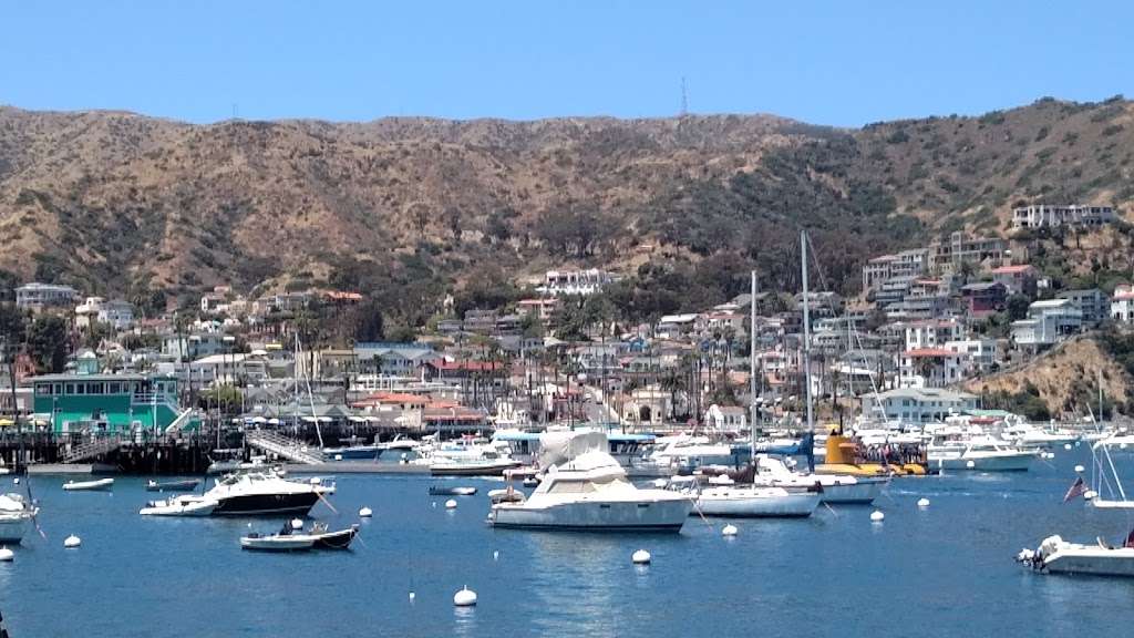 Catalina Ferry and Boat Terminal | Pebbly Beach Rd, Avalon, CA 90704 | Phone: (800) 613-1212