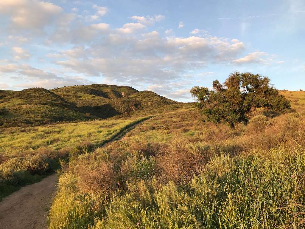 Lang Ranch Open Space | Thousand Oaks, CA 91362, USA