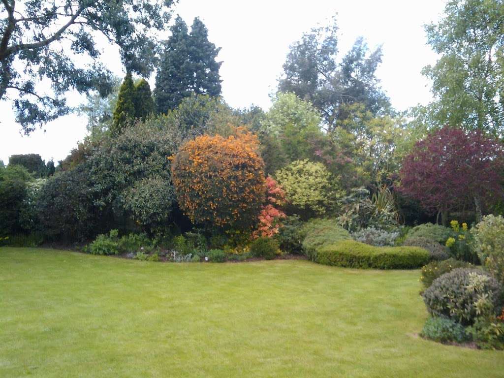 Cutting Hedge Garden Services | Sloansway, Welwyn Garden City AL7 1NG, UK | Phone: 07772 248613