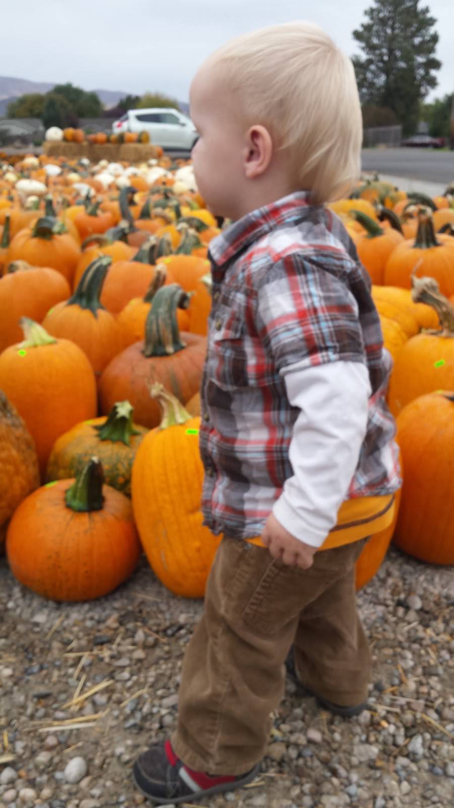 Old Fashioned Fruit and Veg | 2455 Broadway Ave, Boise, ID 83706, USA | Phone: (208) 703-5806