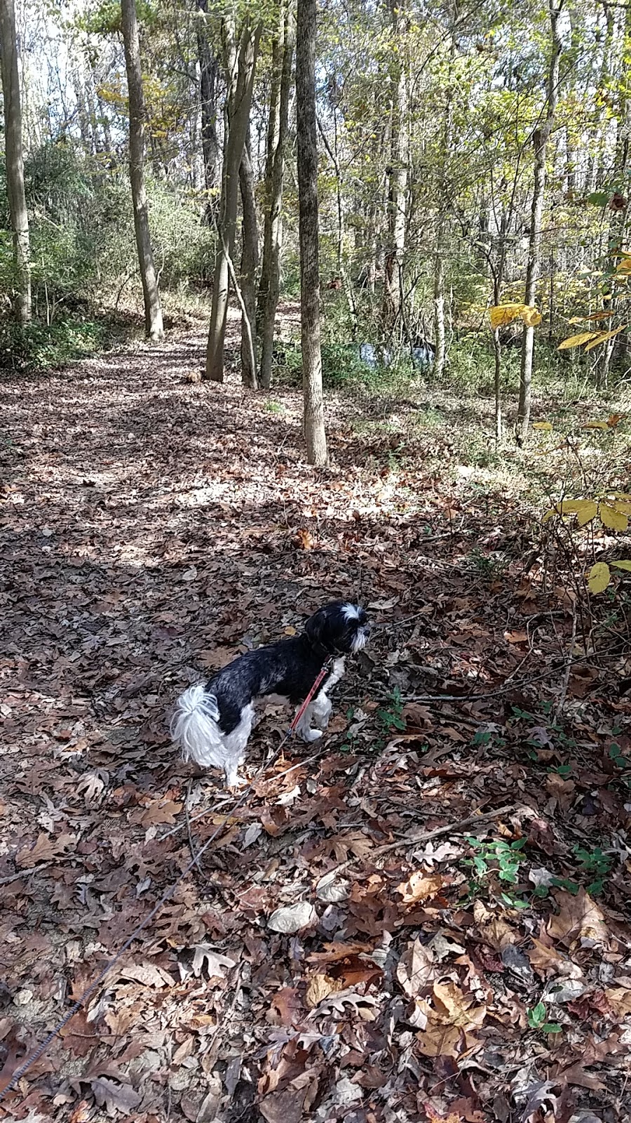 The Preserve Dog Park | 330 OHenry Ave, Davidson, NC 28036 | Phone: (704) 892-3349