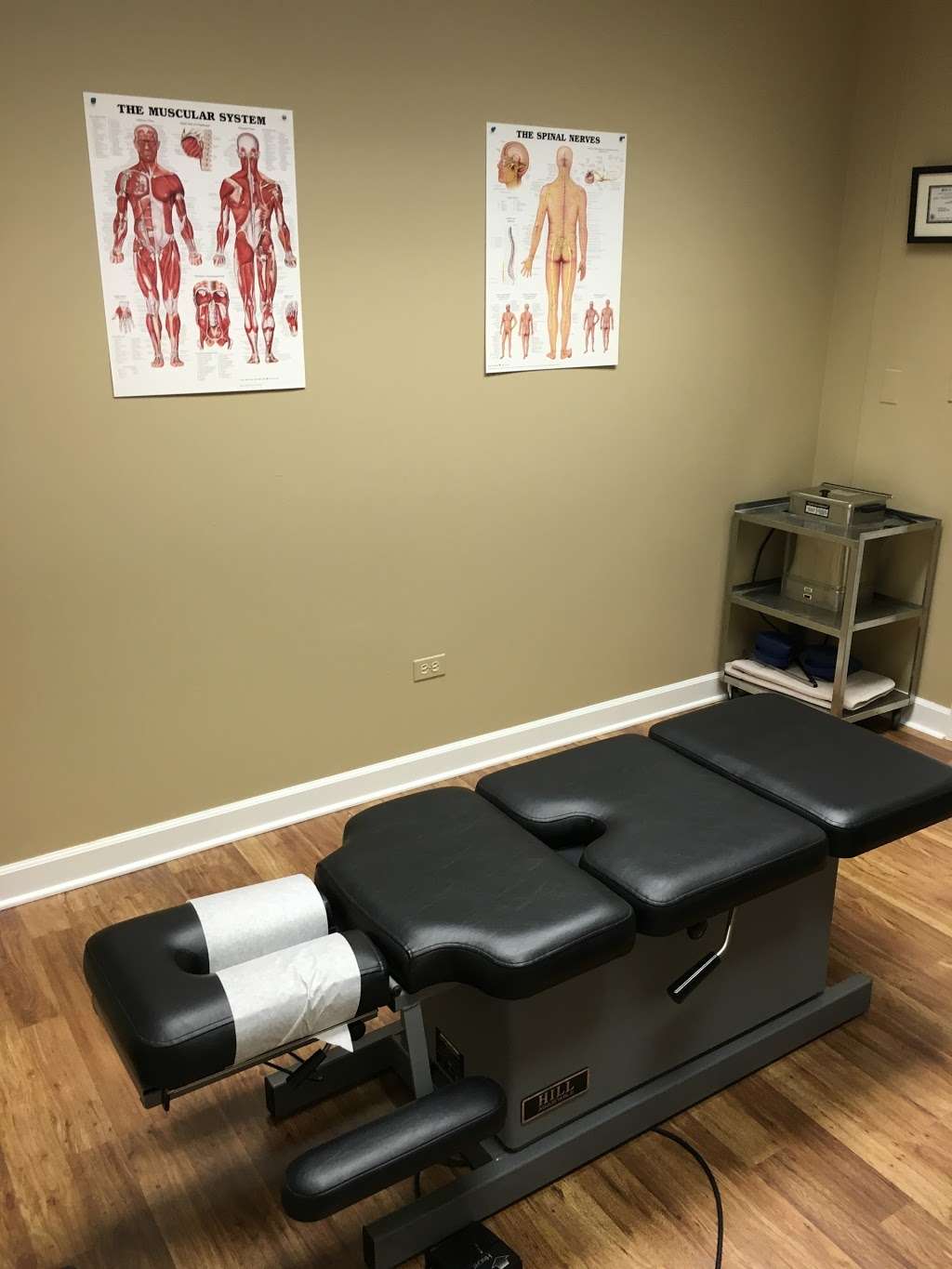 Body Fusion Chiropractic | 2909 MacArthur Blvd, Northbrook, IL 60062 | Phone: (847) 204-0864