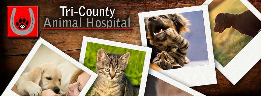 Tri-County Animal Hospital | 417 Range End Rd, Dillsburg, PA 17019, USA | Phone: (717) 432-2453