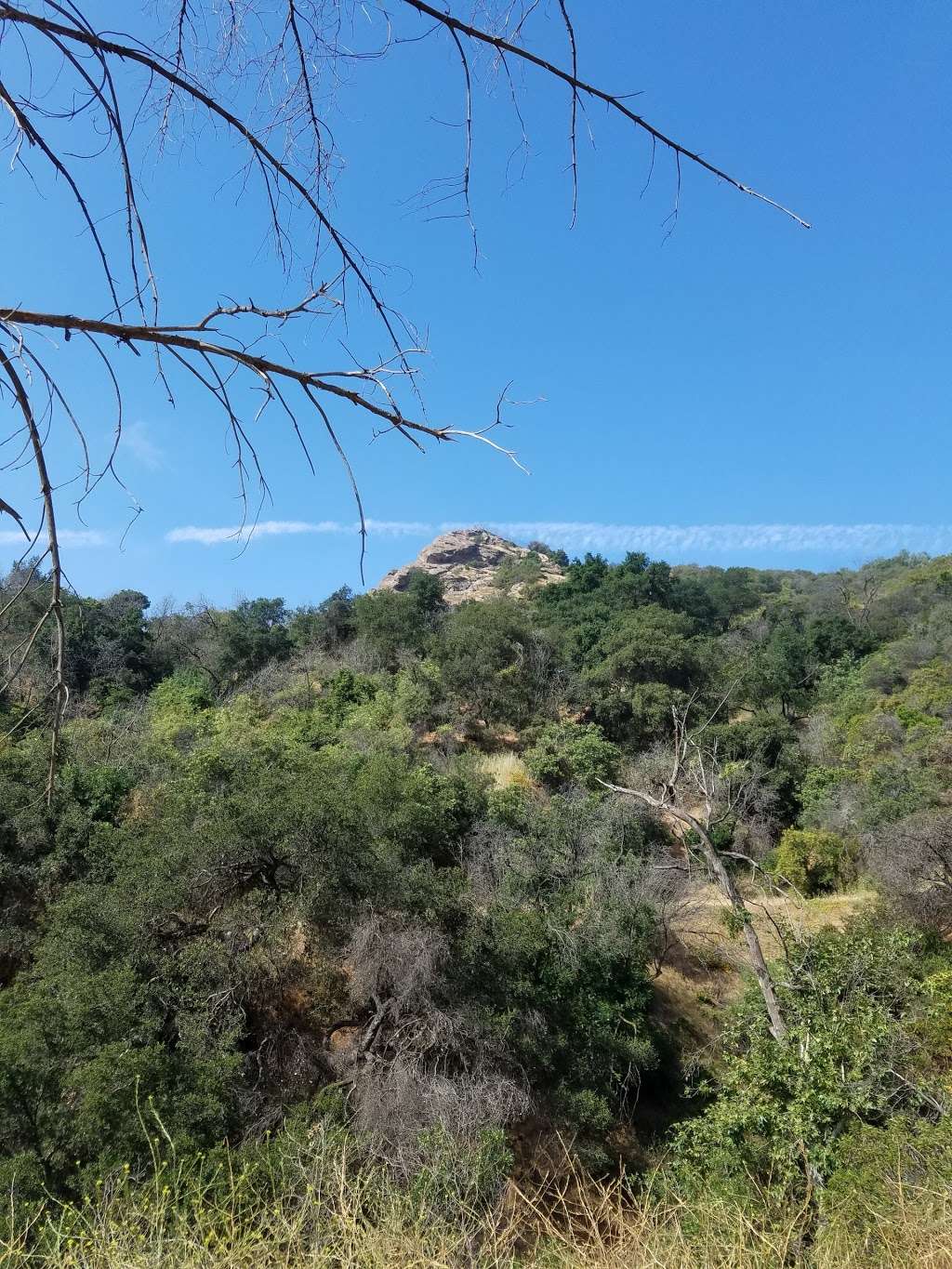 Fern Canyon Trail | Mineral Wells Trail, Los Angeles, CA 90027, USA