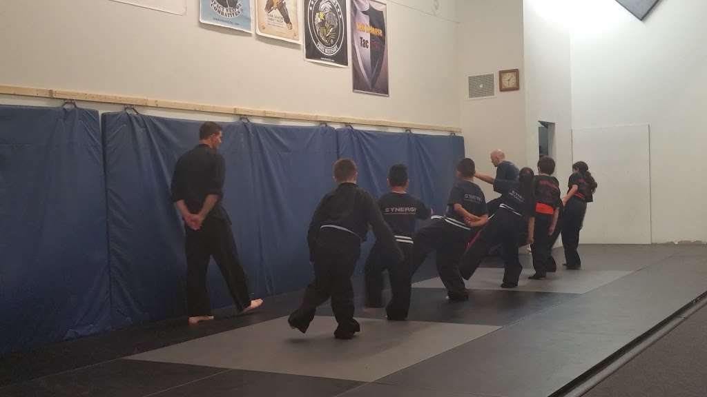 Synergy Martial Arts & Fitness | 9001 N Harlan St, Westminster, CO 80031, USA | Phone: (303) 650-5566