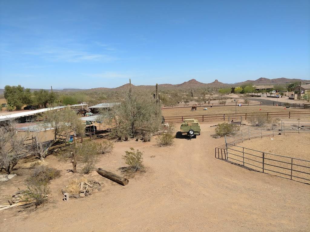 New Beginnings Paso Fino Horse | 29009 N 152nd Dr, Surprise, AZ 85387, USA | Phone: (623) 931-1337