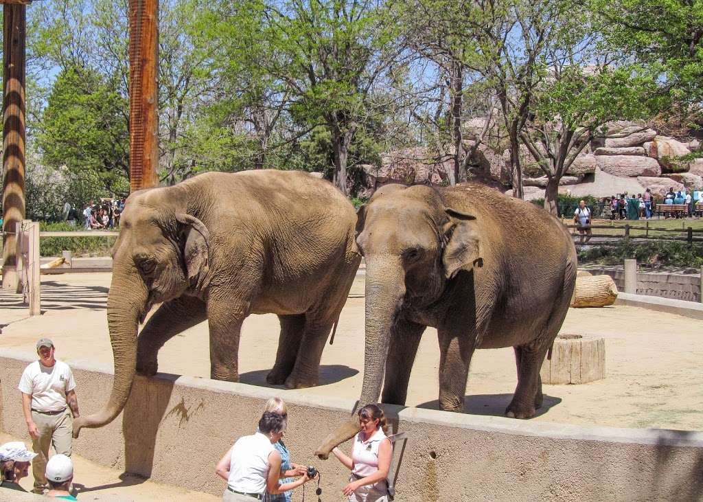 Denver Zoo | 2300 Steele St, Denver, CO 80205, USA | Phone: (720) 337-1400