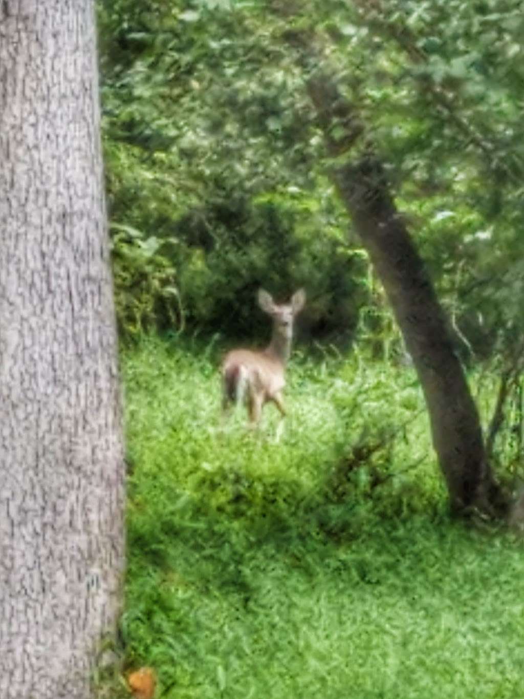 Seven Oaks Preserve Trail Trailhead | 6900 S New Hope Rd, Belmont, NC 28012, USA | Phone: (704) 376-2556