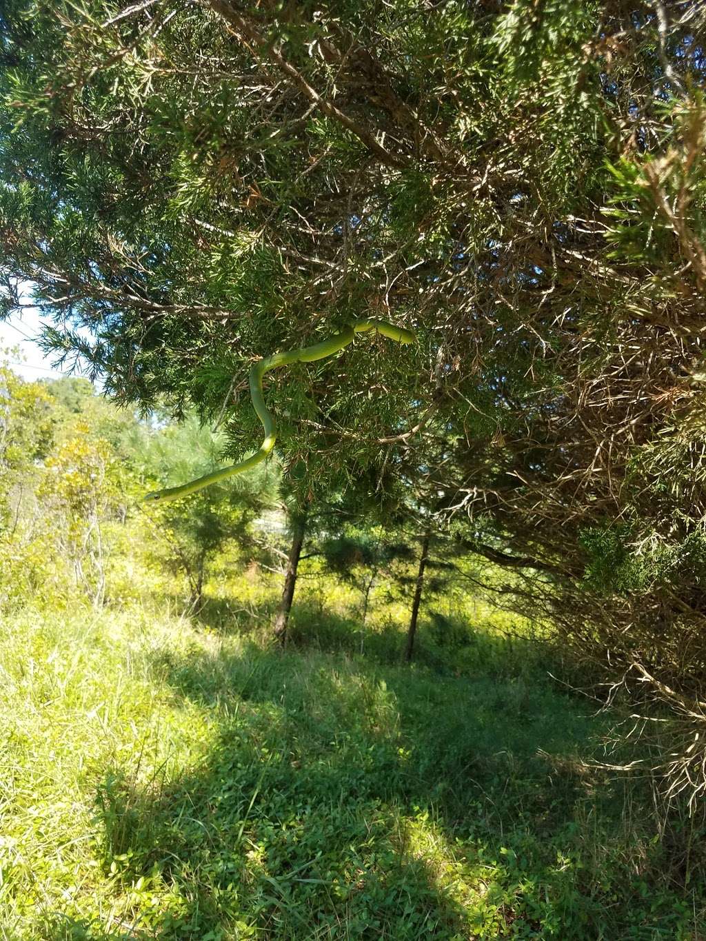 Ballanger Creek Habitat Enhancement Site | 5962 U.S. 9, Tuckerton, NJ 08087