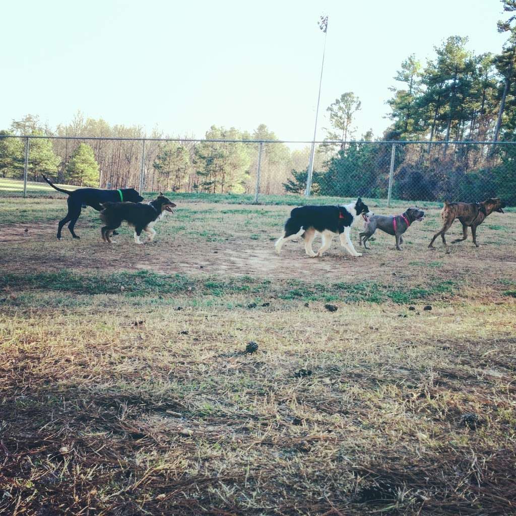 Poston Dog Park | 1101 Lowell Spencer Mountain Rd, Lowell, NC 28098, USA | Phone: (704) 922-2160