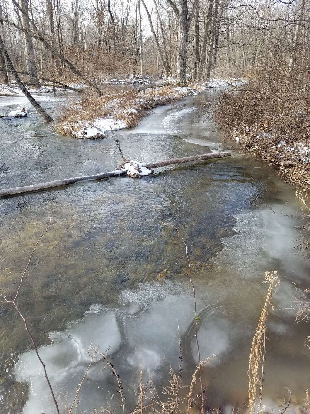 Flatbrook Fish and Wildlife Management Area | Sandyston, NJ 07826, USA