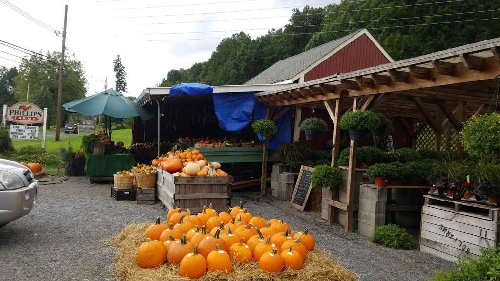 Phillips Farms Stand | 281 Church Rd, Milford, NJ 08848, USA