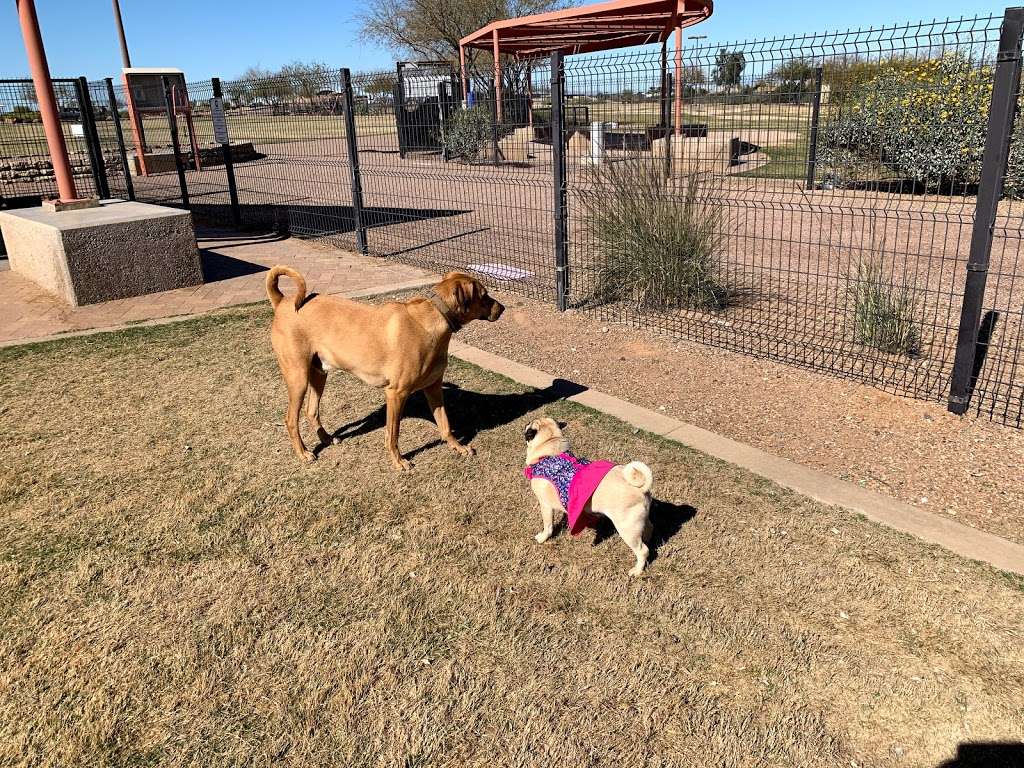 Paseo Vista Recreation Area Bark Park | 3850 S McQueen Rd, Chandler, AZ 85286, USA | Phone: (480) 782-2754