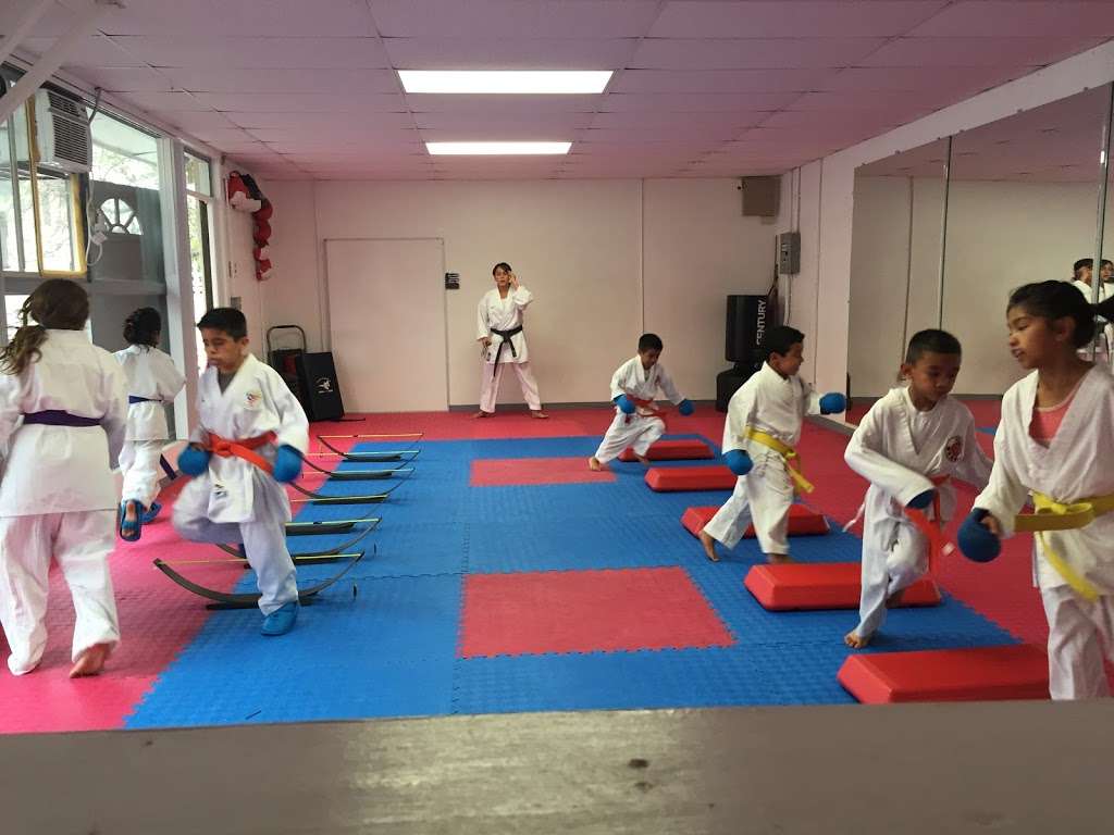 Seishin Karate Dojo | 4400 1/2 N FigueroaSt, Los Angeles, CA 90065 | Phone: (323) 919-7313