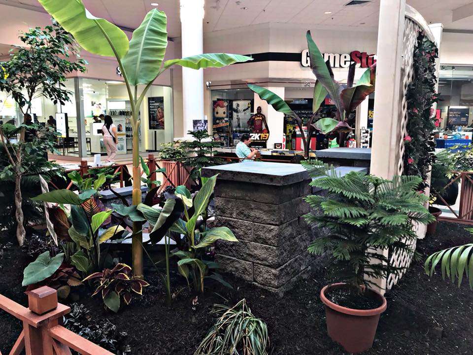 Albanese Garden Center Landscape and Aquatic Design | 260 E Moorestown Rd, Wind Gap, PA 18091, USA | Phone: (610) 759-4699